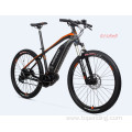 Customized Nakto Electric Bike